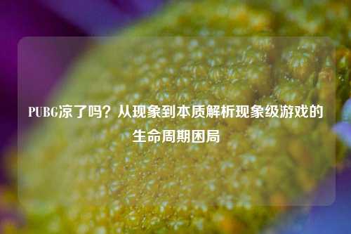 PUBG凉了吗？从现象到本质解析现象级游戏的生命周期困局