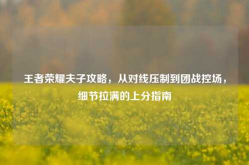 王者荣耀夫子攻略，从对线压制到团战控场，细节拉满的上分指南