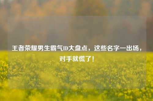 王者荣耀男生霸气ID大盘点，这些名字一出场，对手就慌了！