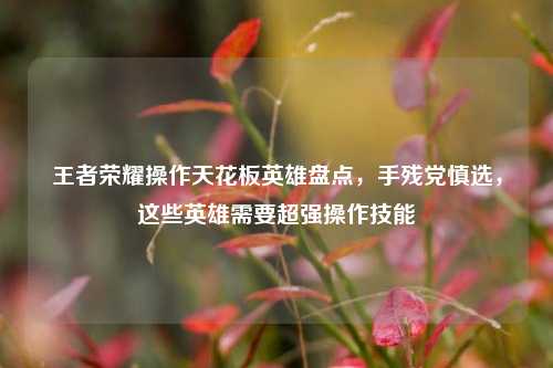 王者荣耀操作天花板英雄盘点,手残党慎选,这些英雄需要超强操作技能