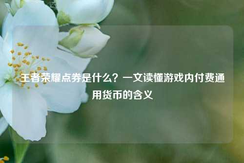 王者荣耀点券是什么?一文读懂游戏内付费通用货币的含义