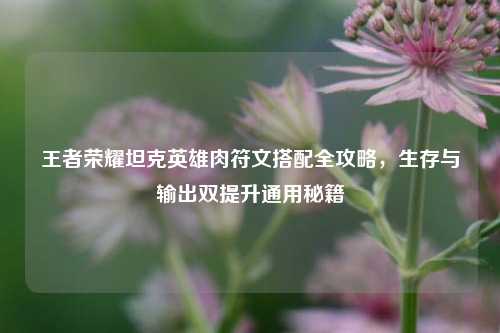 王者荣耀坦克英雄肉符文搭配全攻略,生存与输出双提升通用秘籍