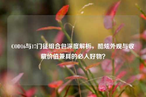 COD16与17门徒组合包深度解析,酷炫外观与收藏价值兼具的必入好物?