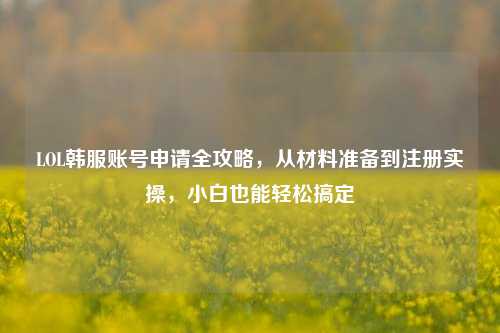 LOL韩服账号申请全攻略,从材料准备到注册实操,小白也能轻松搞定