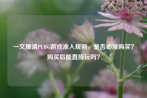 一文理清PUBG游戏准入规则，是否必须购买？购买后能直接玩吗？
