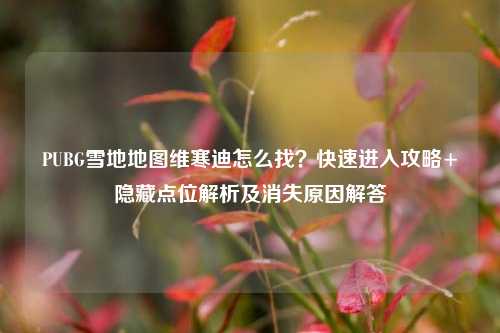 PUBG雪地地图维寒迪怎么找?快速进入攻略+隐藏点位解析及消失原因解答