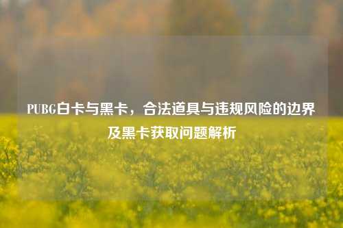 PUBG白卡与黑卡，合法道具与违规风险的边界及黑卡获取问题解析
