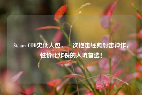 Steam COD史低大包,一次抱走经典射击神作,性价比炸裂的入坑首选!