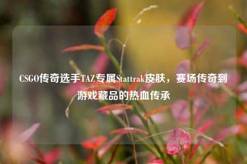 CSGO传奇选手TAZ专属Stattrak皮肤,赛场传奇到游戏藏品的热血传承