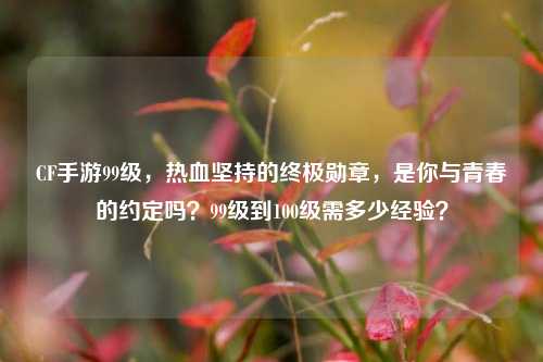 CF手游99级，热血坚持的终极勋章，是你与青春的约定吗？99级到100级需多少经验？