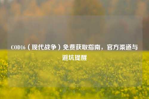 COD16（现代战争）免费获取指南，官方渠道与避坑提醒