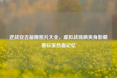 逆战安吉丽娜照片大全,虚拟战场飒爽身影藏着玩家热血记忆