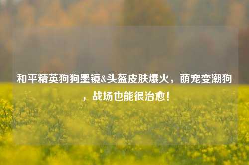 和平精英狗狗墨镜&头盔皮肤爆火，萌宠变潮狗，战场也能很治愈！