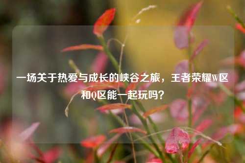一场关于热爱与成长的峡谷之旅，王者荣耀W区和Q区能一起玩吗？