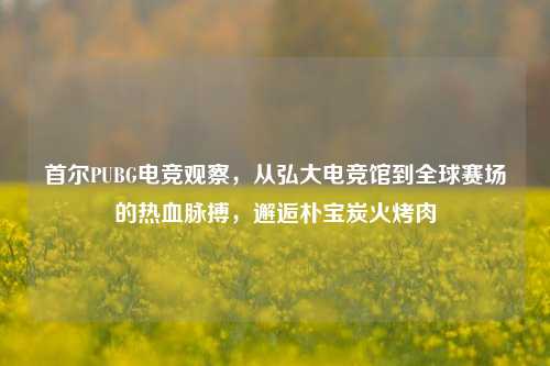 首尔PUBG电竞观察，从弘大电竞馆到全球赛场的热血脉搏，邂逅朴宝炭火烤肉