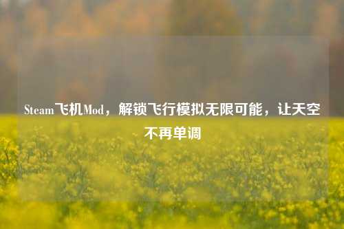 Steam飞机Mod,解锁飞行模拟无限可能,让天空不再单调