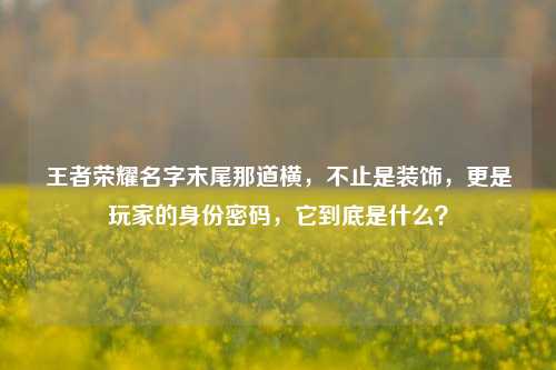 王者荣耀名字末尾那道横，不止是装饰，更是玩家的身份密码，它到底是什么？