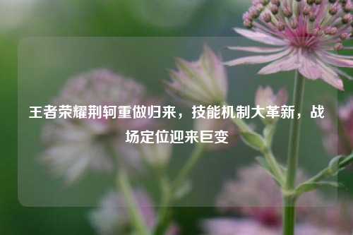 王者荣耀荆轲重做归来，技能机制大革新，战场定位迎来巨变