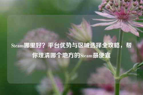Steam哪里好?平台优势与区域选择全攻略,帮你理清哪个地方的Steam更便宜