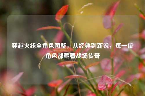 穿越火线全角色图鉴,从经典到新锐,每一位角色都藏着战场传奇