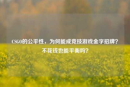 CSGO的公平性，为何能成竞技游戏金字招牌？不花钱也能平衡吗？