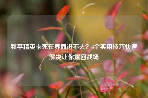 和平精英卡死在界面进不去?3个实用技巧快速解决让你重回战场