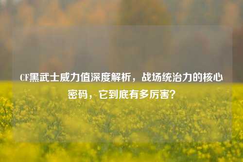 CF黑武士威力值深度解析，战场统治力的核心密码，它到底有多厉害？