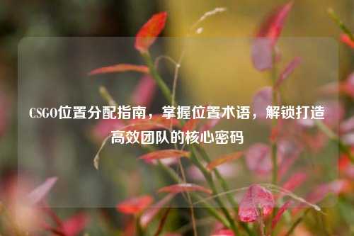 CSGO位置分配指南，掌握位置术语，解锁打造高效团队的核心密码
