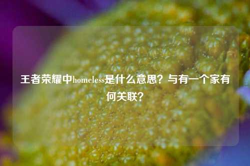 王者荣耀中homeless是什么意思?与有一个家有何关联?