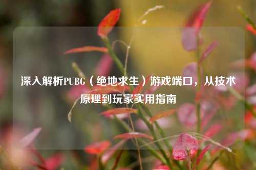 深入解析PUBG(绝地求生)游戏端口,从技术原理到玩家实用指南