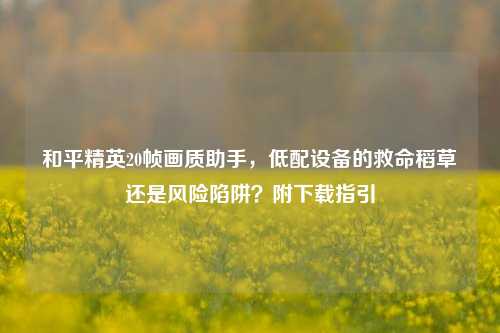 和平精英20帧画质助手,低配设备的救命稻草还是风险陷阱?附下载指引