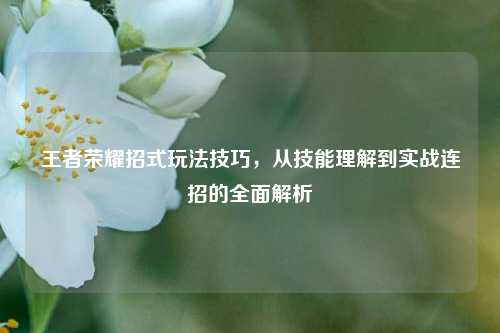 王者荣耀招式玩法技巧，从技能理解到实战连招的全面解析