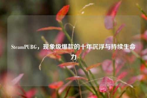 SteamPUBG，现象级爆款的十年沉浮与持续生命力