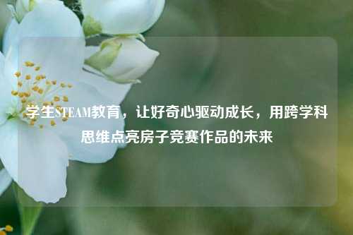 学生STEAM教育,让好奇心驱动成长,用跨学科思维点亮房子竞赛作品的未来