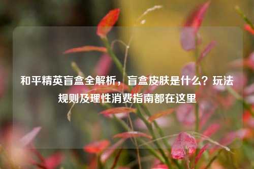 和平精英盲盒全解析，盲盒皮肤是什么？玩法规则及理性消费指南都在这里
