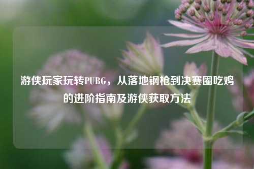 游侠玩家玩转PUBG,从落地钢枪到决赛圈吃鸡的进阶指南及游侠获取 ***