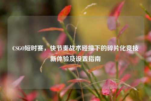 CSGO短时赛,快节奏战术碰撞下的碎片化竞技新体验及设置指南
