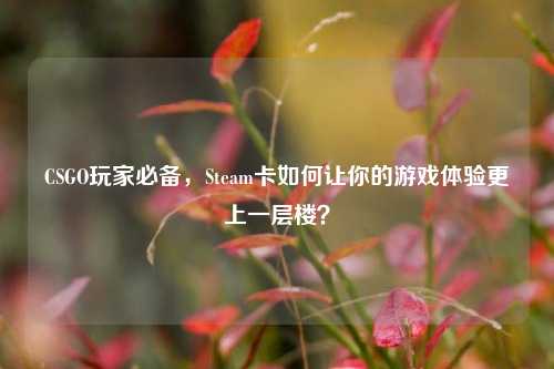 CSGO玩家必备，Steam卡如何让你的游戏体验更上一层楼？