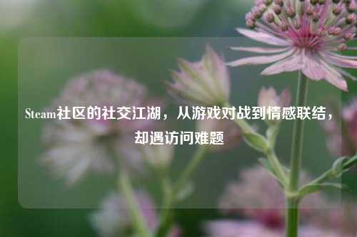 Steam社区的社交江湖,从游戏对战到情感联结,却遇访问难题