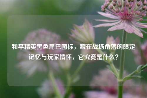 和平精英黑色尾巴图标,藏在战场角落的限定记忆与玩家情怀,它究竟是什么?