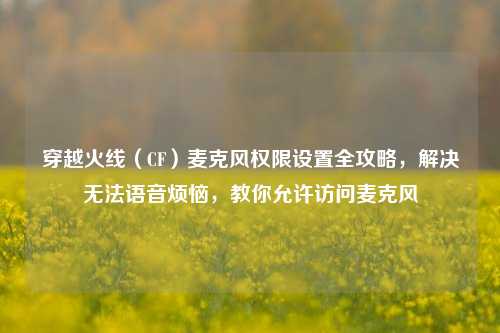 穿越火线(CF)麦克风权限设置全攻略,解决无法语音烦恼,教你允许访问麦克风