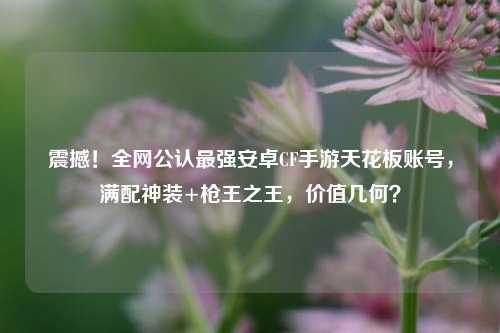 震撼！全网公认最强安卓CF手游天花板账号，满配神装+枪王之王，价值几何？