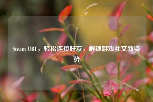 Steam URL，轻松连接好友，解锁游戏社交新姿势