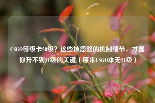 CSGO等级卡20级？这些被忽略的机制细节，才是你升不到21级的关键（原来CSGO本无21级）