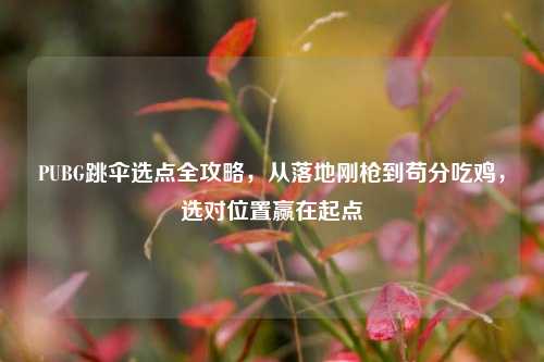 PUBG跳伞选点全攻略,从落地刚枪到苟分吃鸡,选对位置赢在起点