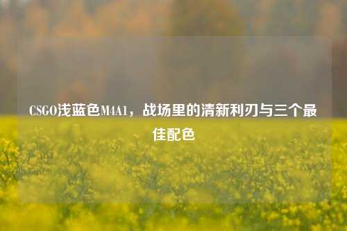 CSGO浅蓝色M4A1,战场里的清新利刃与三个更佳配色