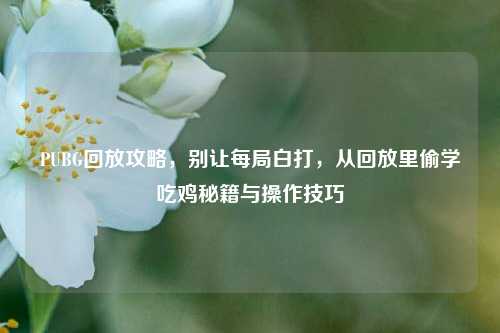 PUBG回放攻略,别让每局白打,从回放里偷学吃鸡秘籍与操作技巧