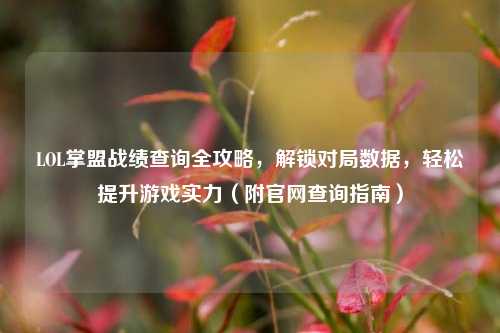 LOL掌盟战绩查询全攻略,解锁对局数据,轻松提升游戏实力(附官网查询指南)
