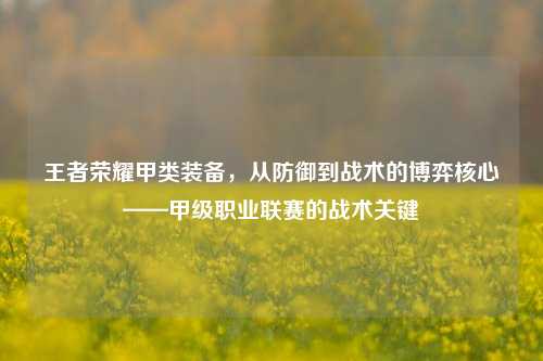 王者荣耀甲类装备，从防御到战术的博弈核心——甲级职业联赛的战术关键
