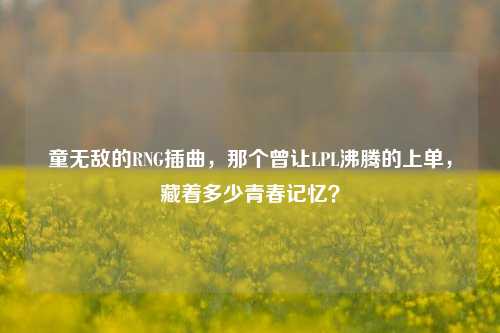 童无敌的RNG插曲,那个曾让LPL沸腾的上单,藏着多少青春记忆?